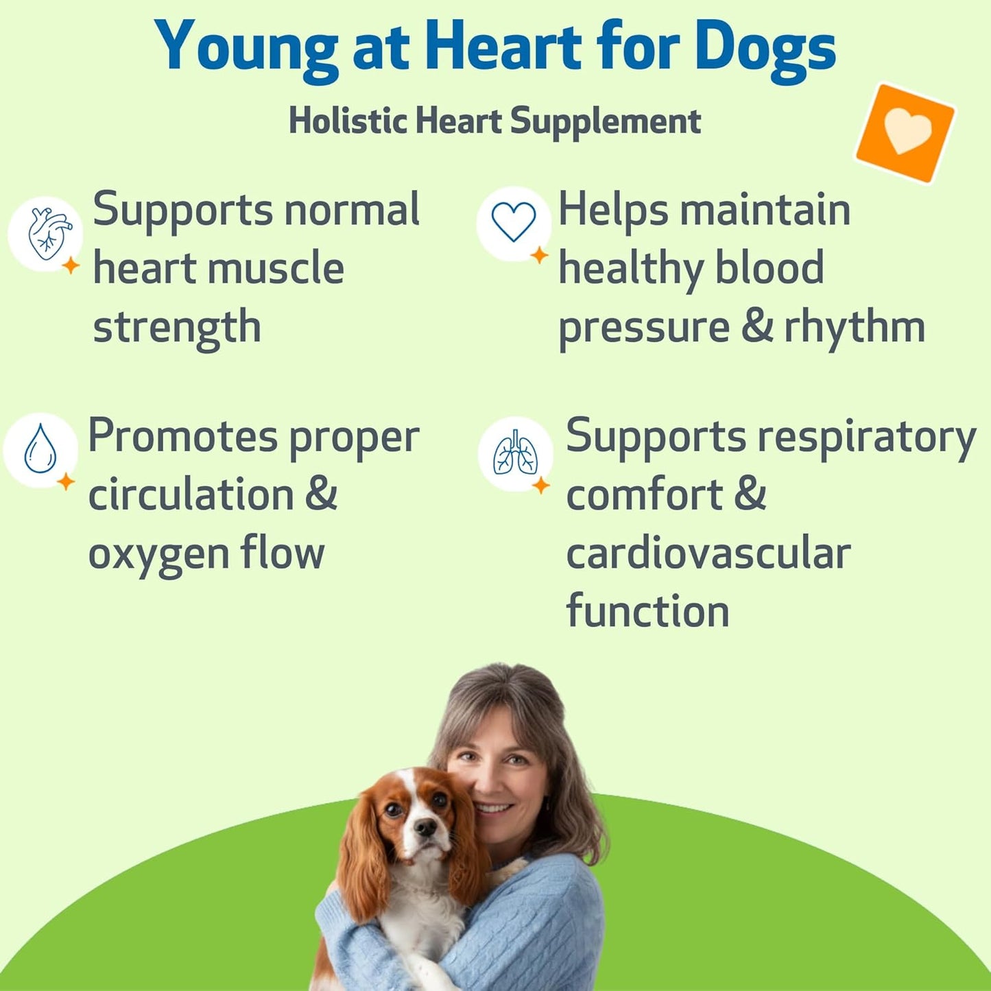 Senior Heart Support Drops