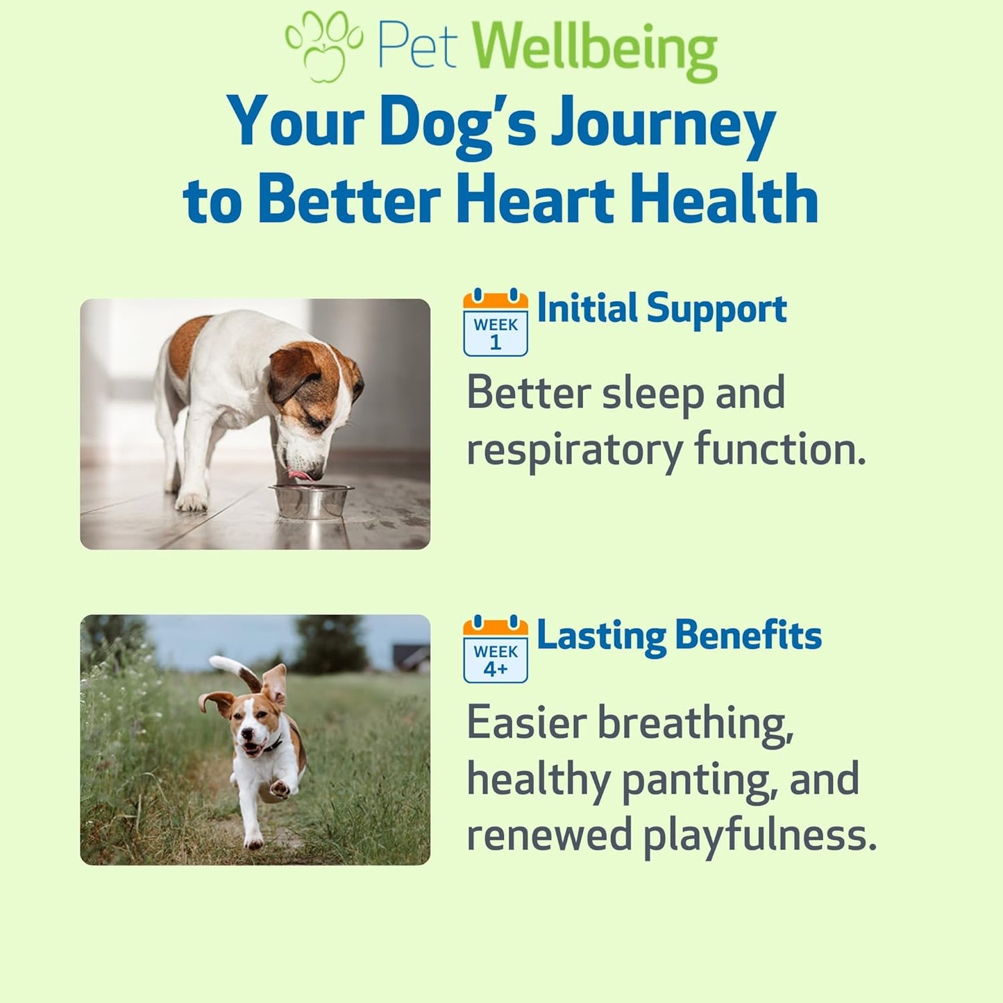 Senior Heart Support Drops
