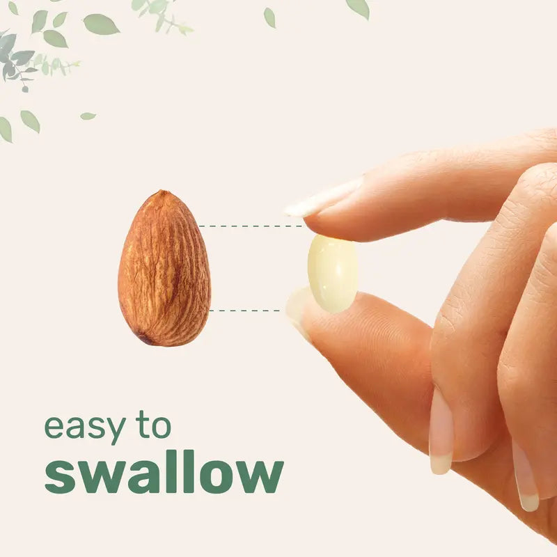 R Alpha Lipoic Acid with Coconut Oil - 600mg Softgels