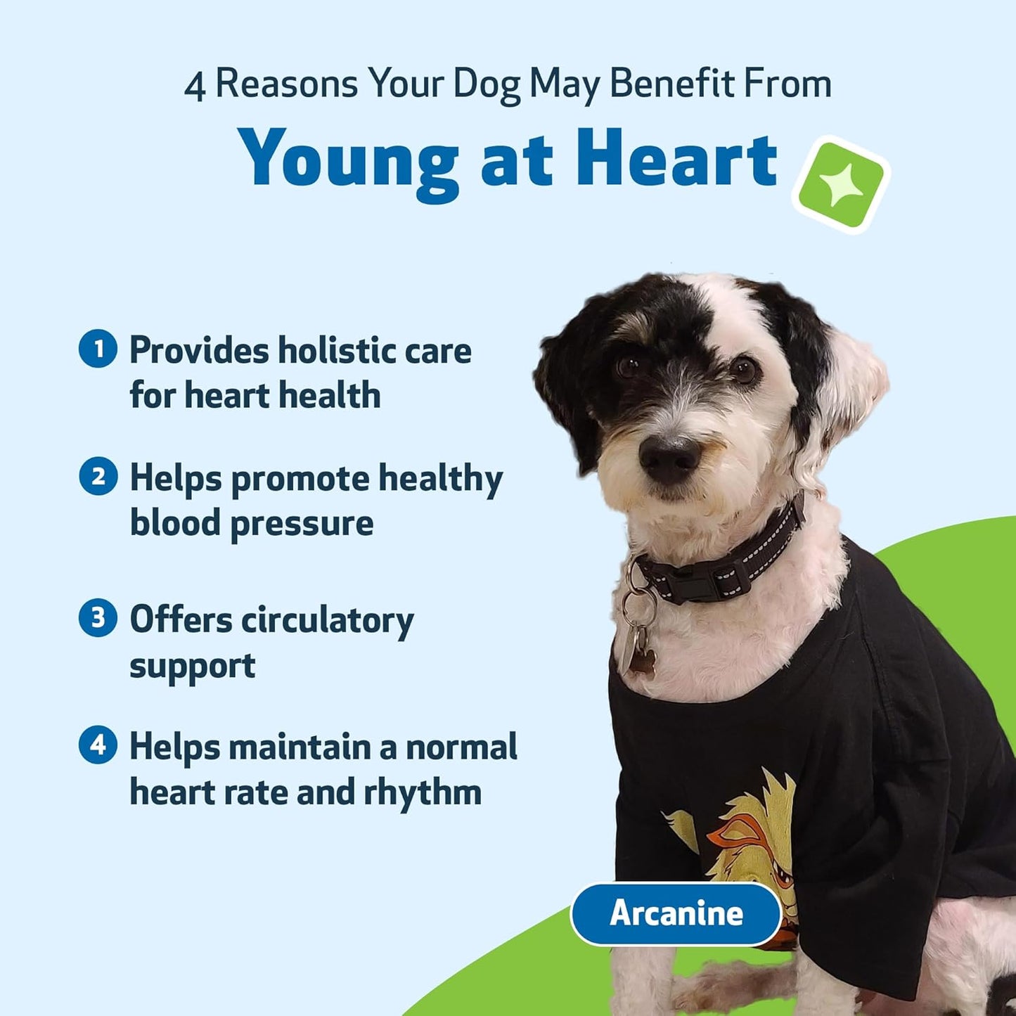Senior Heart Support Drops